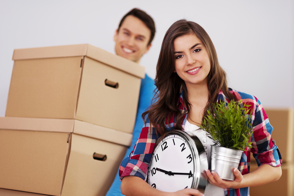 look for moving boxes in NZ